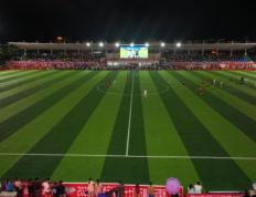 IM体育官方平台-包含国际足球赛场谱写激烈角逐，球迷心情澎湃的词条