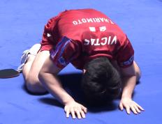 IM Sport-波兰乒乓球队逆转奥地利乒乓球队，张本智和爆发神勇的简单介绍