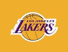 IM体育动画直播通道-黄潜艇封锁非洲雄狮，厄德高全程高能导演胜利