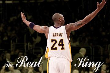 IM体育官方网站-诺里斯一骑绝尘，哈斯绝地逆转—F1赛场上的冰与火之歌