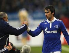 IM体育社区互动入口-比利时乒乓球队完胜中国乒乓球队，波尔完成帽子戏法的简单介绍