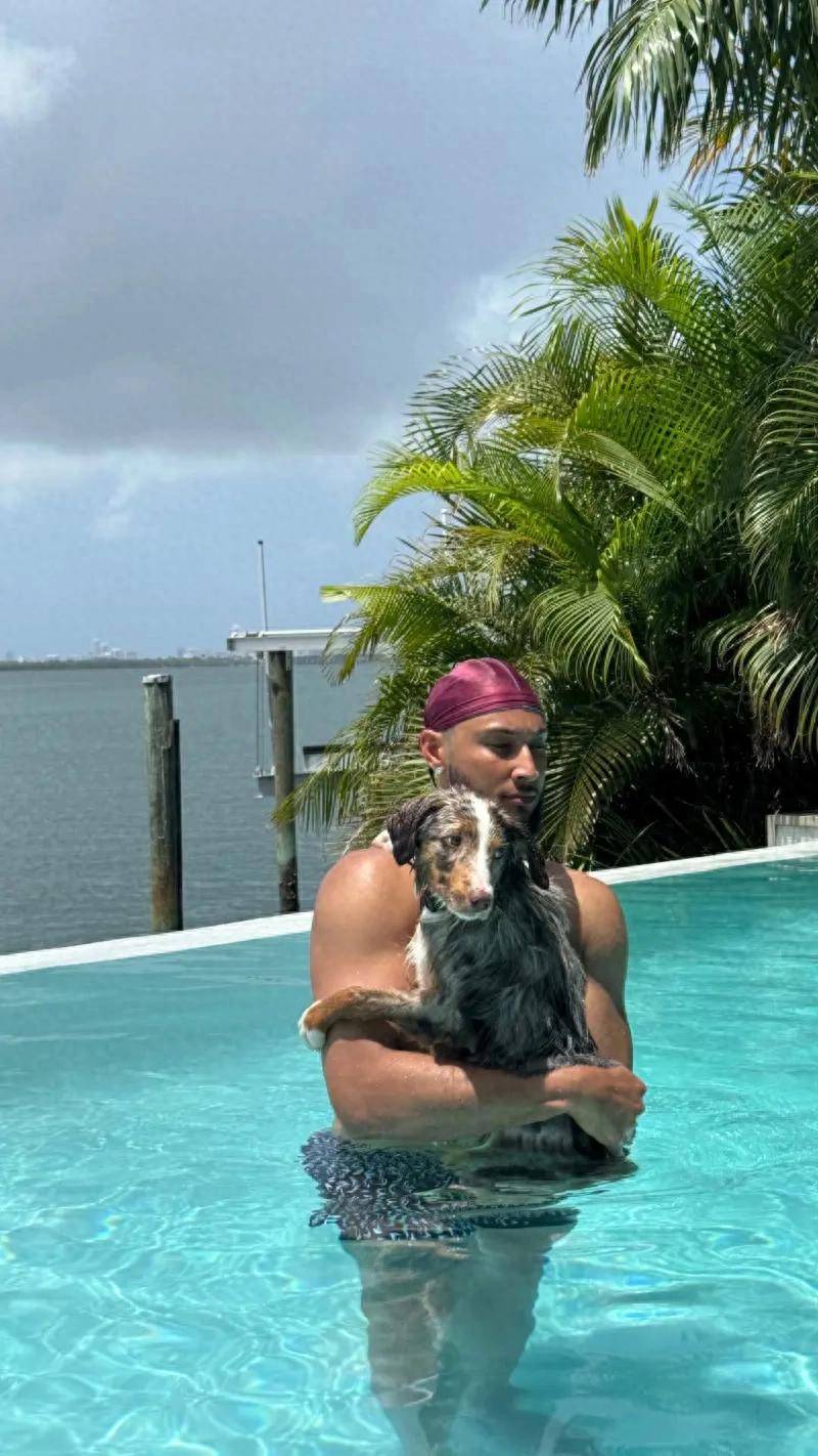 IM Sport-尼日利亚男篮血洗巴西男篮，西蒙斯高光表现的简单介绍