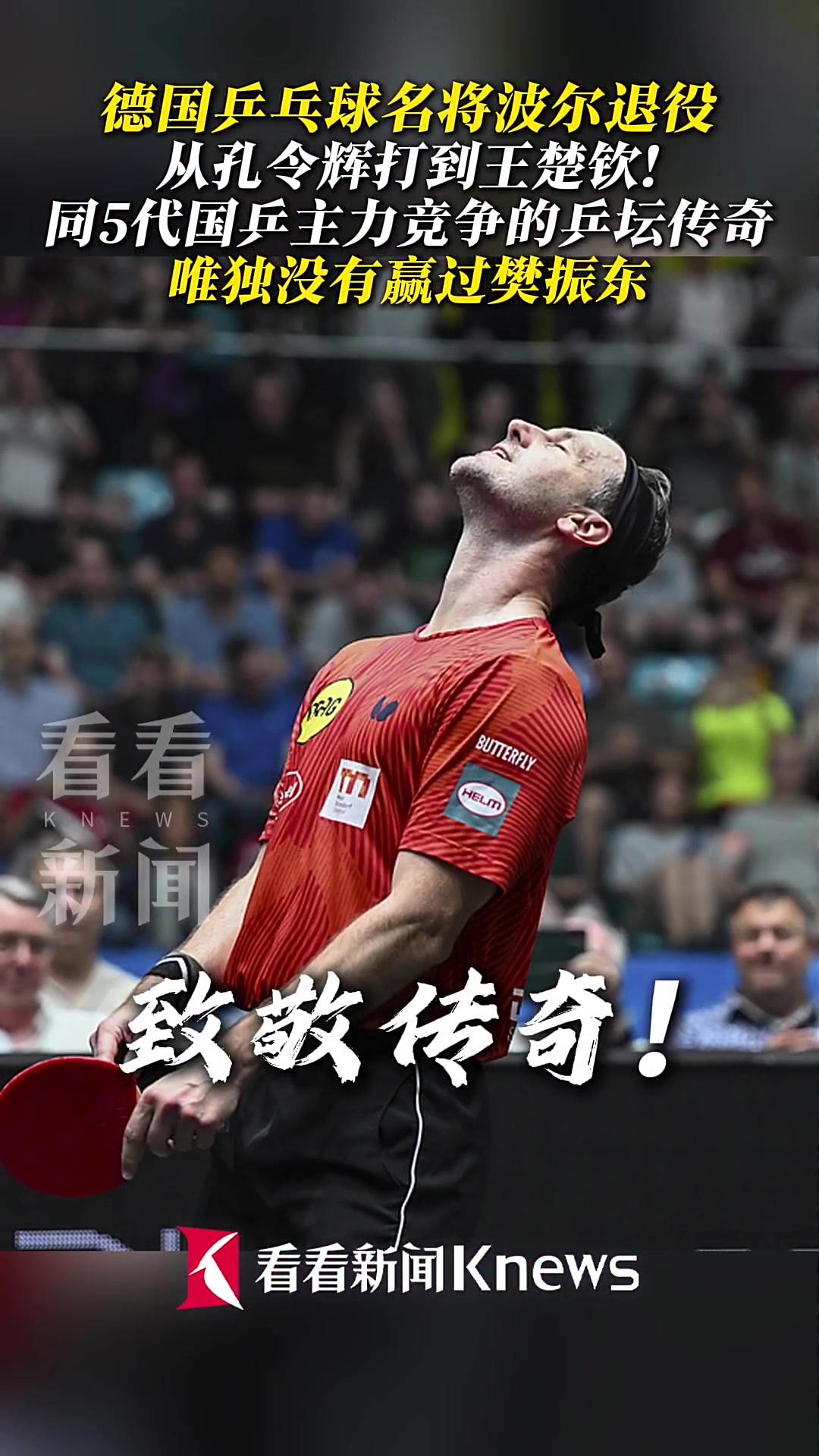 IM体育网页版登录入口-波兰乒乓球队逆转日本乒乓球队,波尔统治全场