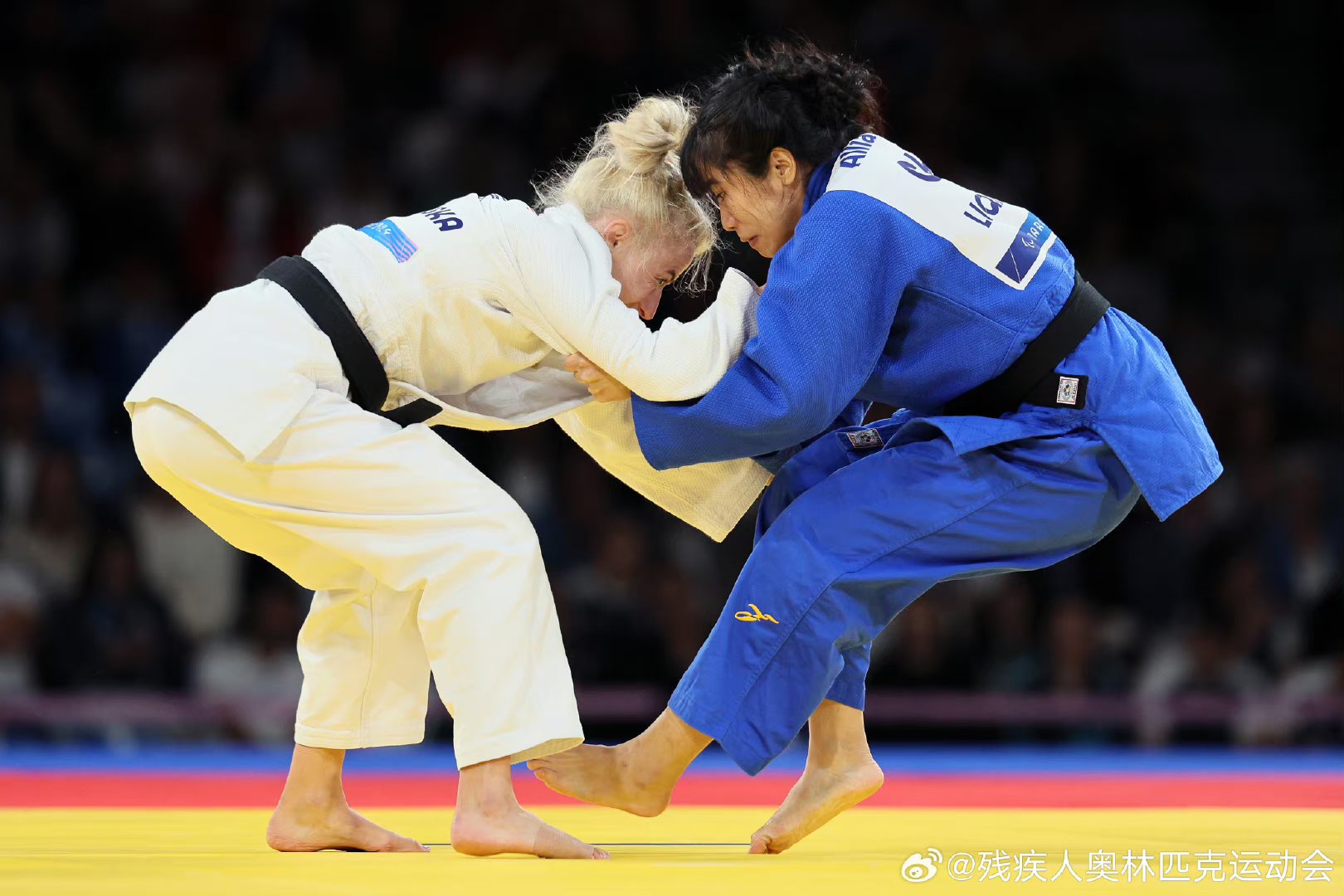 IM体育App下载-乌克兰运动员携手斩获柔道比赛金牌