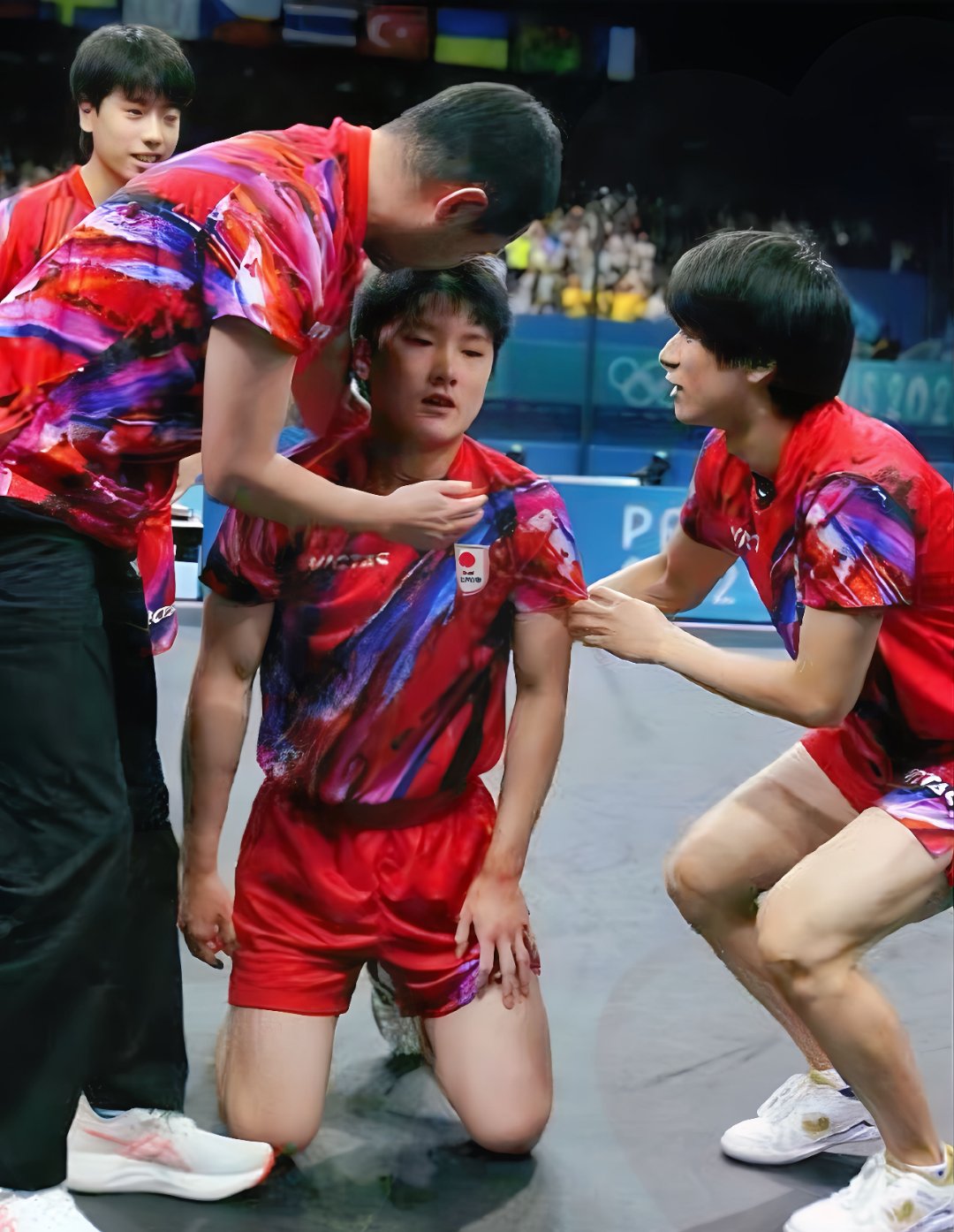 IM体育动画直播通道-关于中国乒乓球队强势波兰乒乓球队，水谷隼统治全场的信息