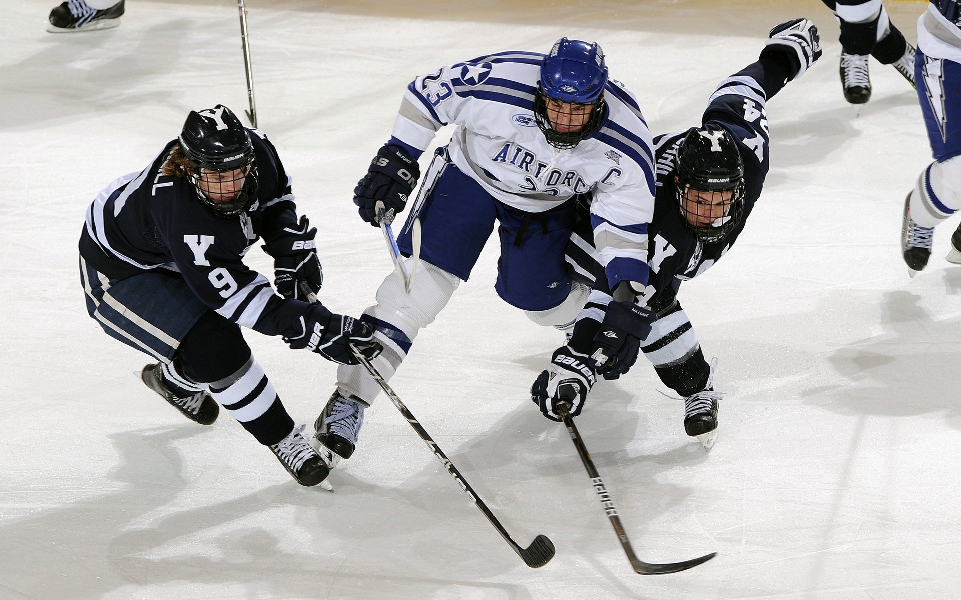 IM体育-老鹰展翅斩落火箭，福克斯接管世界排名争夺战