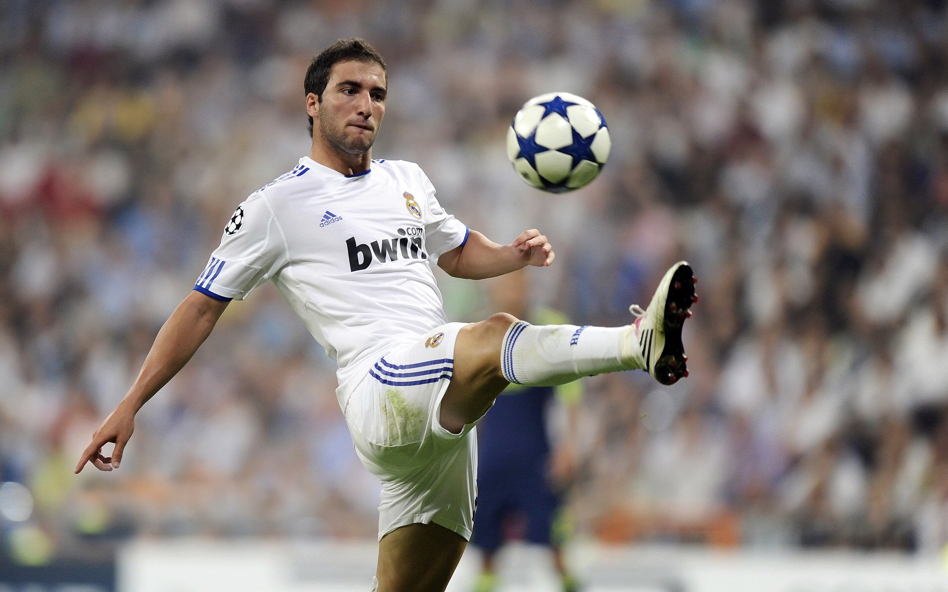 IM体育动画直播通道-从美加墨世界杯焦点战到广东队收割雄鹿,体育竞技中的战术传承与跨界启示